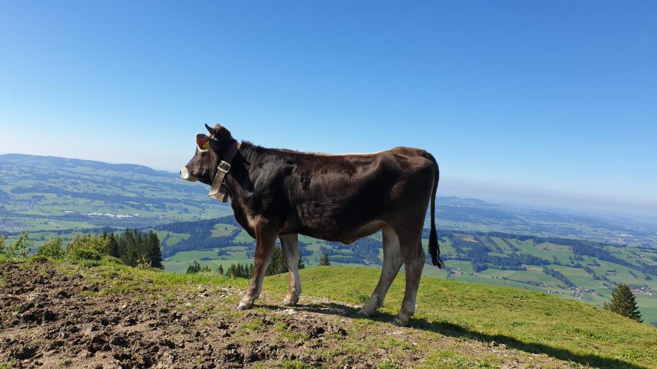 Allgaeu Bergluft Weitnau Exterior photo