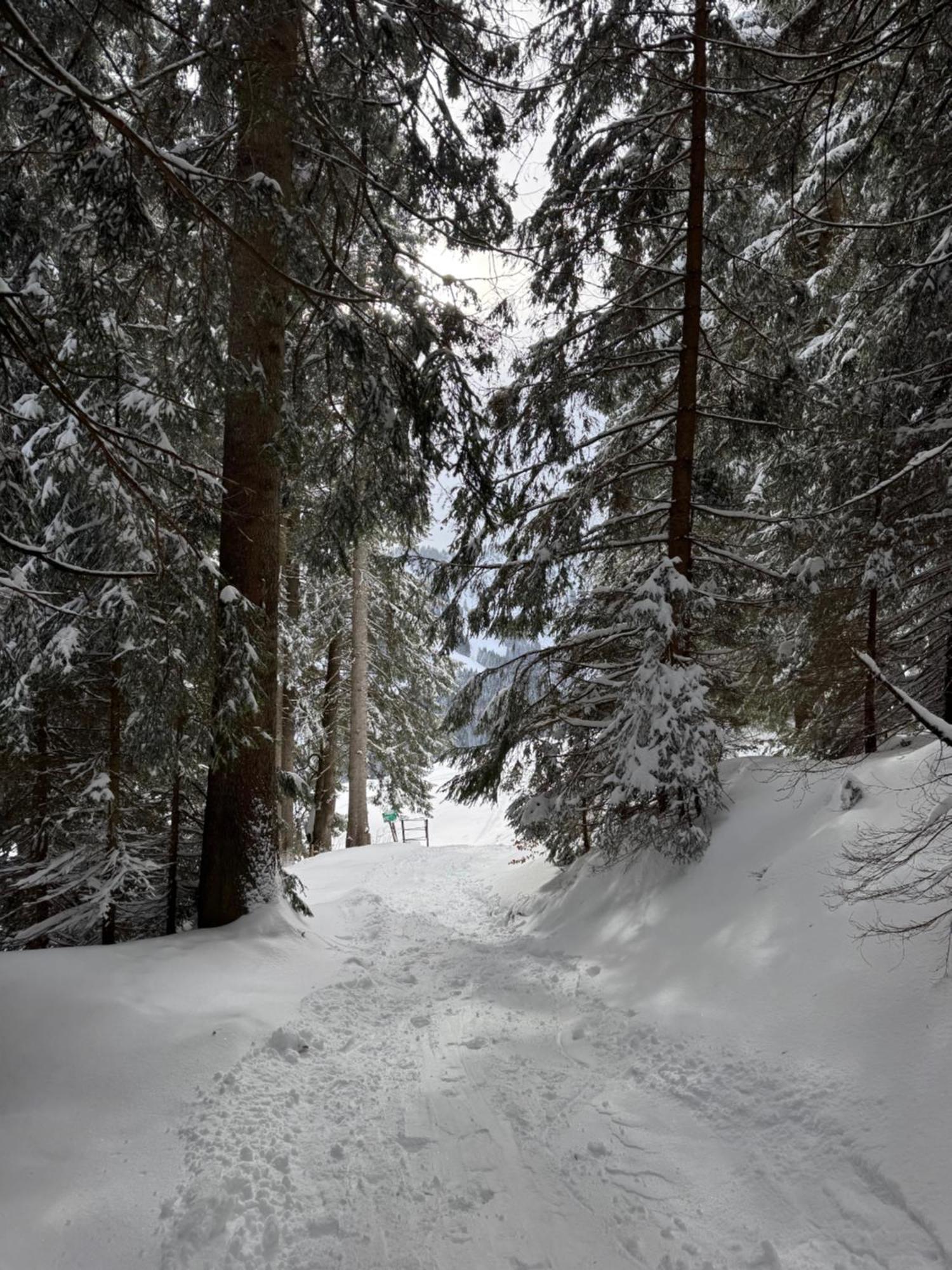 Allgaeu Bergluft Weitnau Exterior photo